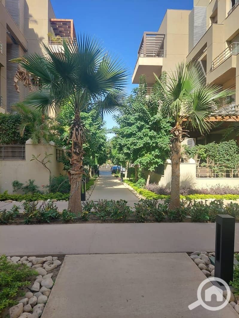 6 598316855_122243335808084594_4914365962608275691_n. jpg