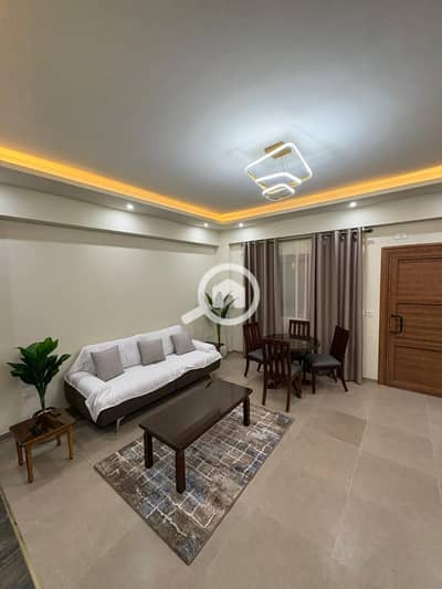 استوديو  للايجار في القاهرة الجديدة، القاهرة - WhatsApp Image 2025-12-23 at 1.22. 45 P7889. jpeg