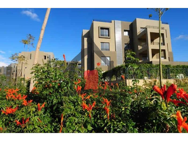 9 e61d1b91-f12d-4de0-8738-79d3c57eb761. jpg