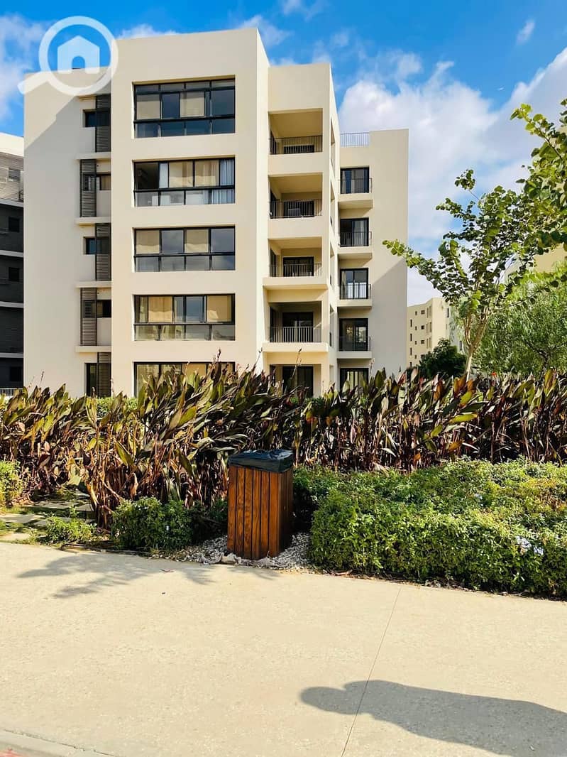 4 WhatsApp Image 2025-05-14 at 17.07. 27_2e267b16. jpg