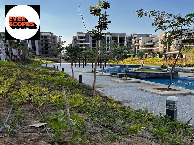 7 2023-04-04 (1). jpg