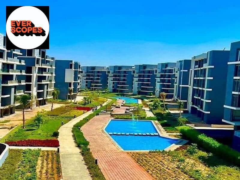 11 4282104-8feafo. jpg