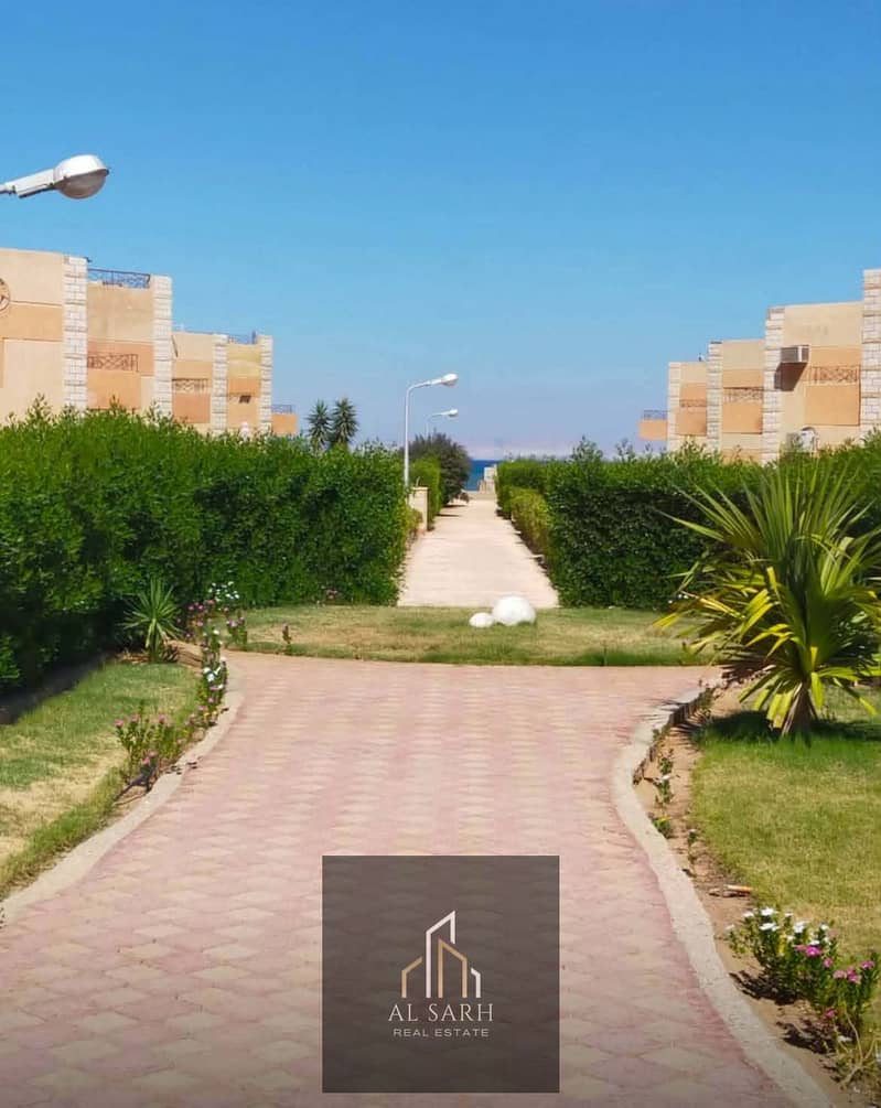 5 598643986_4209645499282415_5694005028365259241_n. jpg