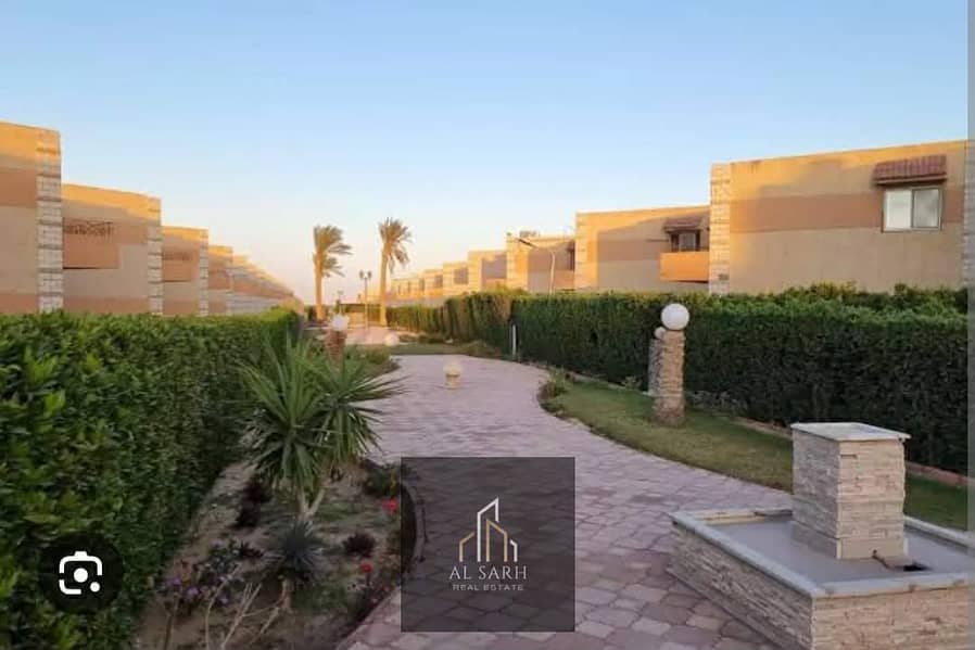 7 598715878_1850046222537992_6860897391919486975_n. jpg