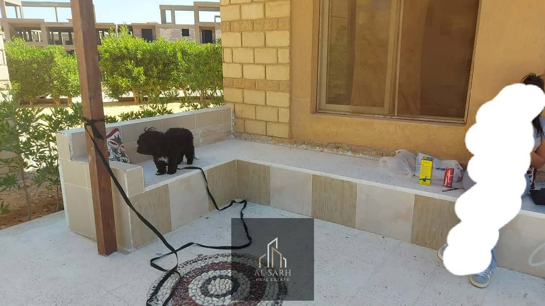 12 598663809_2375140459627188_5859334104826735696_n. jpg