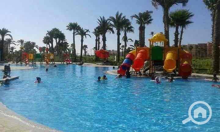 7 0d739a67-e1e3-412c-905b-ce4b92f25532. jpg