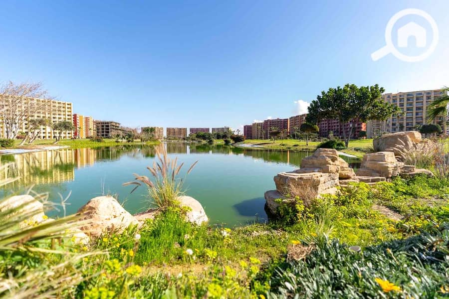 9 08975e38-3e5e-4e32-8705-2e72fd3e3bbd. jpg