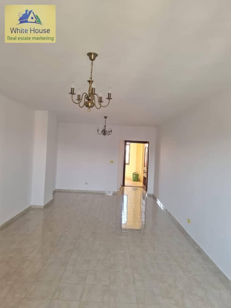 5 363a54db-573e-4720-8df7-d7584f805b05. jpg