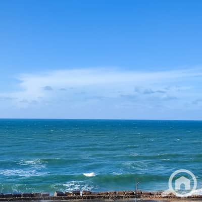 فلیٹ 3 غرف نوم للبيع في لوران، الإسكندرية - WhatsApp Image 2025-12-07 at 2.41. 20 PM (1). jpeg