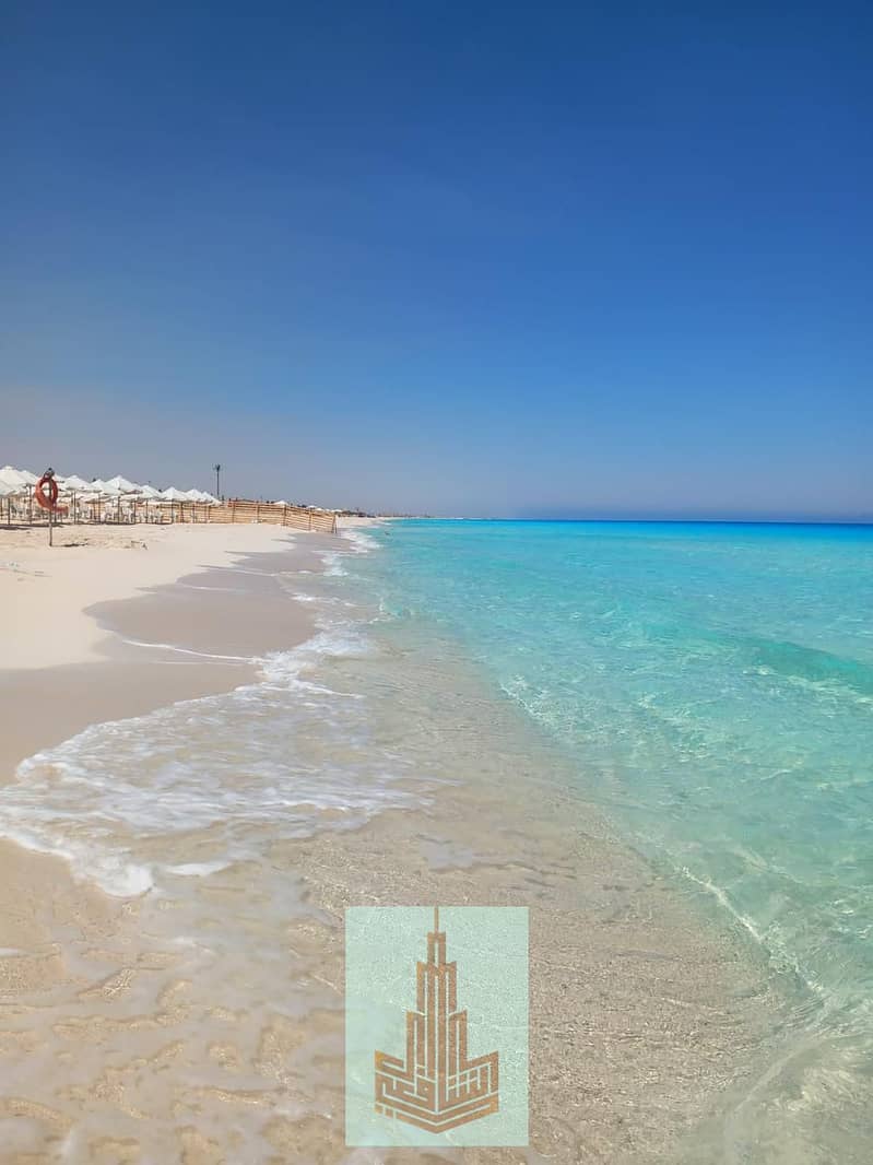 12 WhatsApp Image 2025-12-23 at 2.24. 01 PM. jpeg