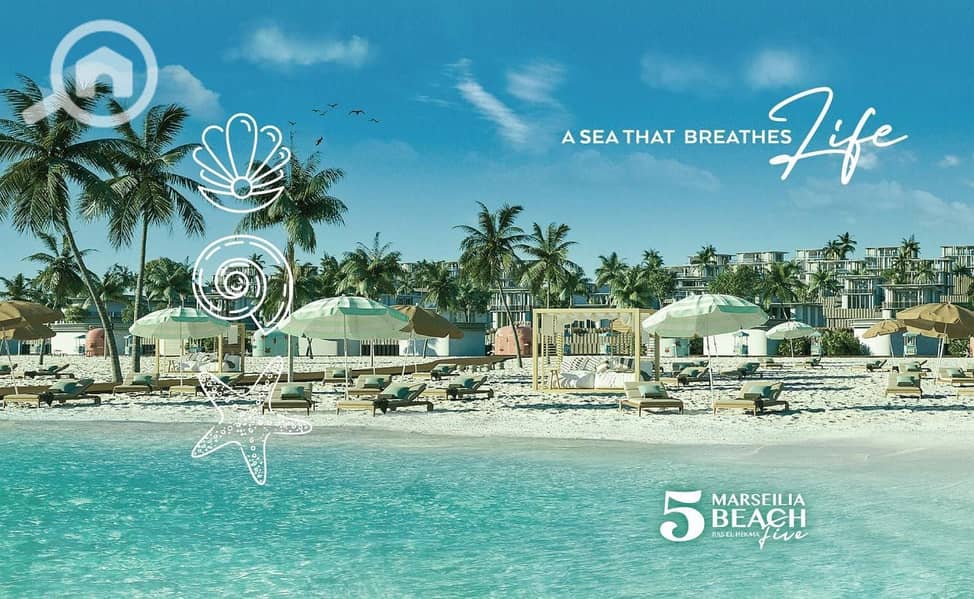 4 WhatsApp Image 2025-11-08 at 2.31. 26 PM (1). jpeg