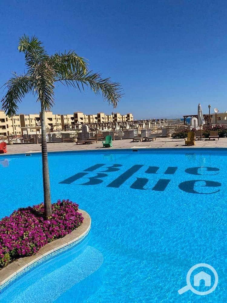 10 4E39C71A-BD58-47C5-80E2-7557A8466777. jpeg