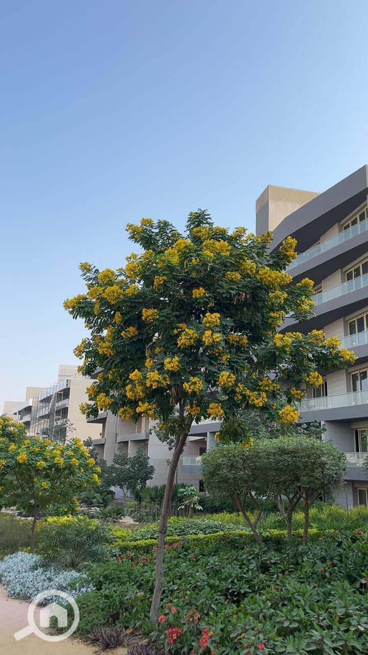 2 WhatsApp Image 2025-12-23 at 1.58. 32 PM. jpeg