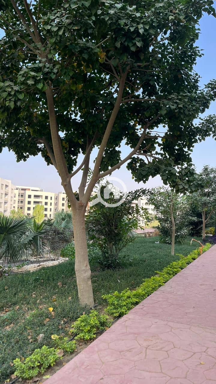 3 WhatsApp Image 2025-12-23 at 1.58. 33 PM (1). jpeg