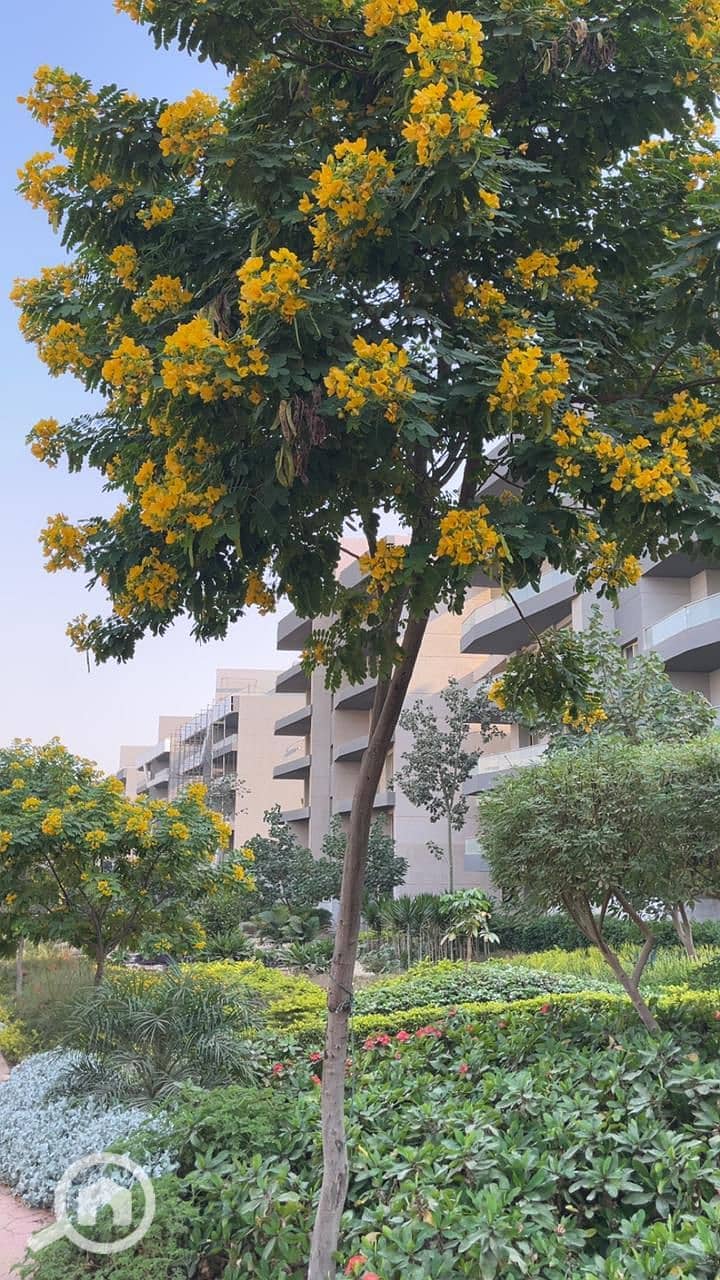 4 WhatsApp Image 2025-12-23 at 1.58. 33 PM (2). jpeg