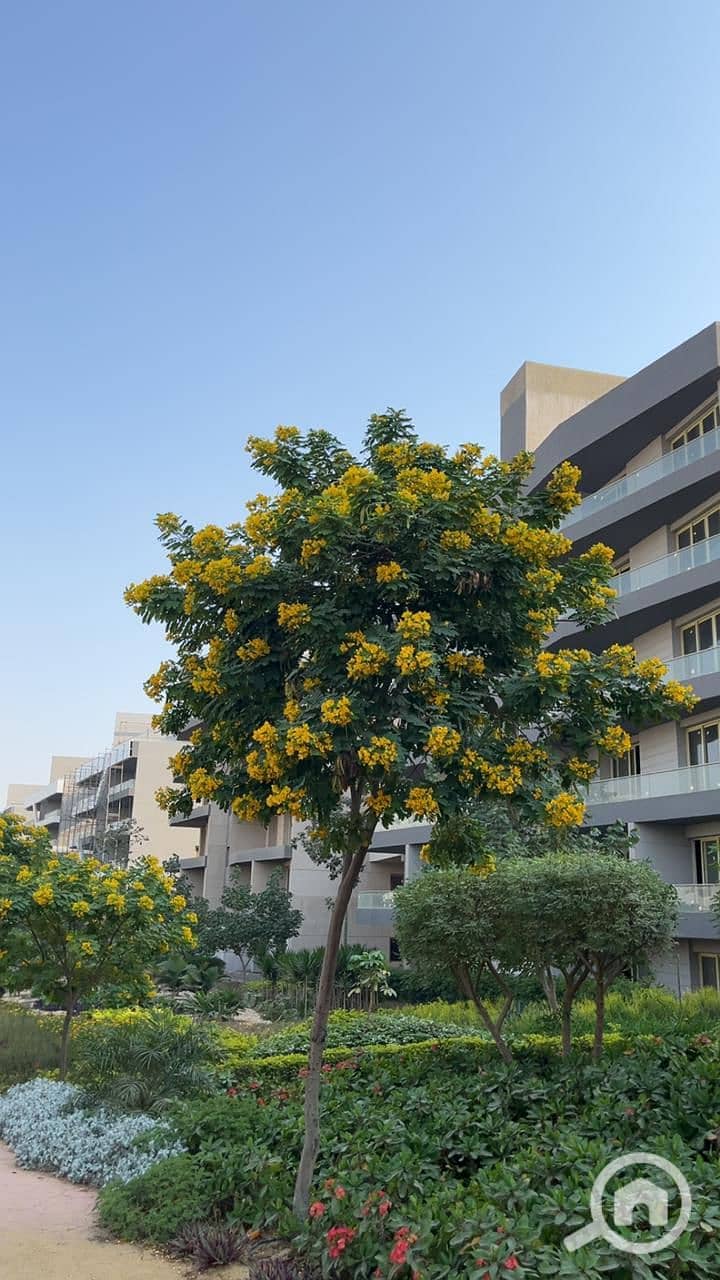 7 WhatsApp Image 2025-12-23 at 1.58. 32 PM. jpeg