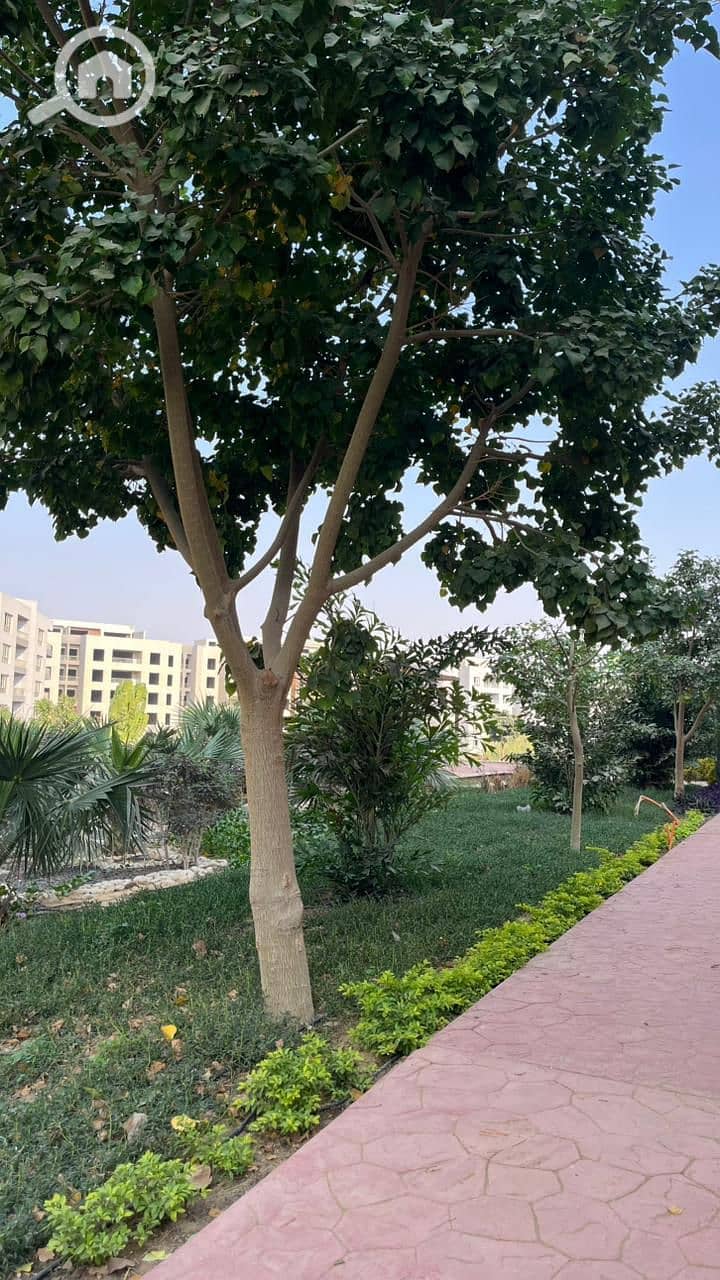 8 WhatsApp Image 2025-12-23 at 1.58. 33 PM (1). jpeg