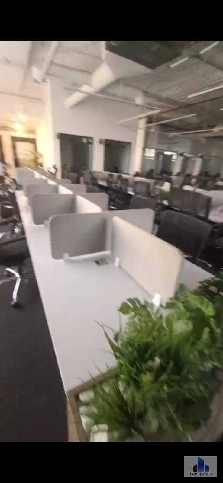 5 WhatsApp Image 2025-12-19 at 3.18. 59 AM (1). jpeg