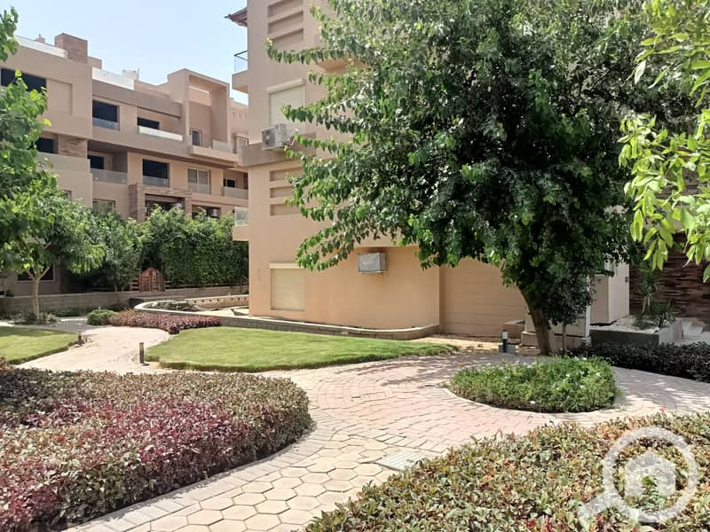 4 IMG20250729144421. jpg