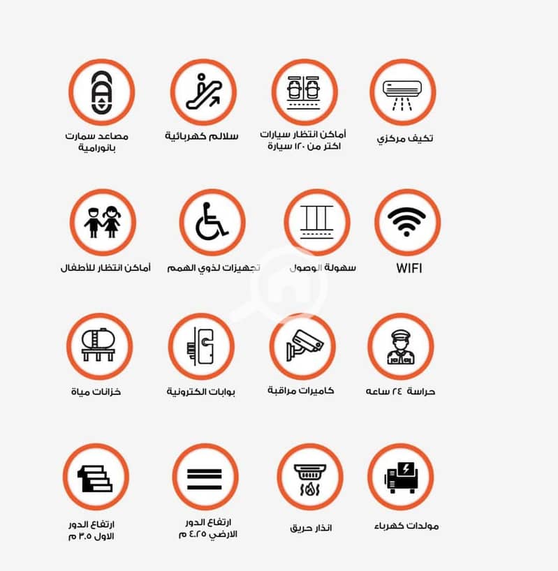 6 WhatsApp Image 2025-02-13 at 14.53. 56_3d303813 - Copy - Copy - Copy. jpg