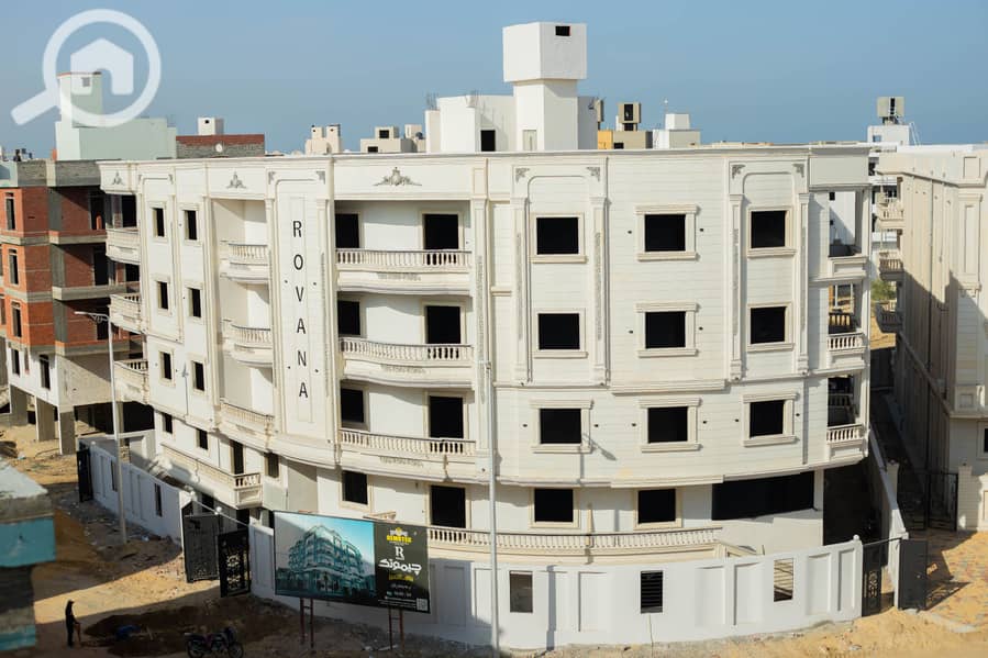 11 IMG_8099-Enhanced-NR - Copy (2) - Copy - Copy. jpg