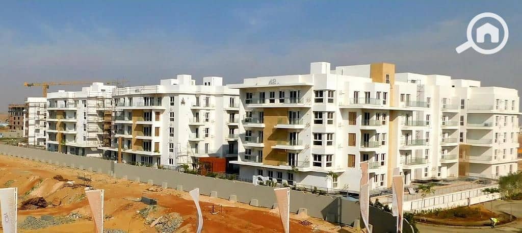 10 WhatsApp Image 2024-08-13 at 15.09. 56_eb2c14e8. jpg