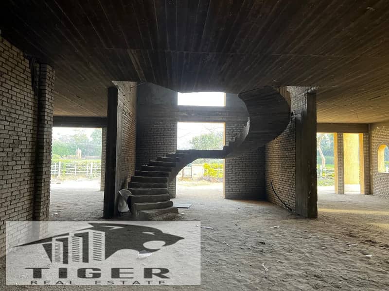 6 WhatsApp Image 2025-10-28 at 3.24. 04 AM (4). jpeg