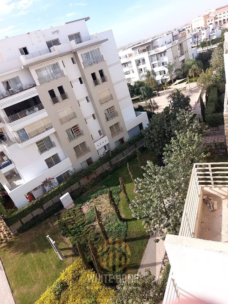 13 5099ad53-5e02-41c1-8abc-38a4db4fe30d. jpeg