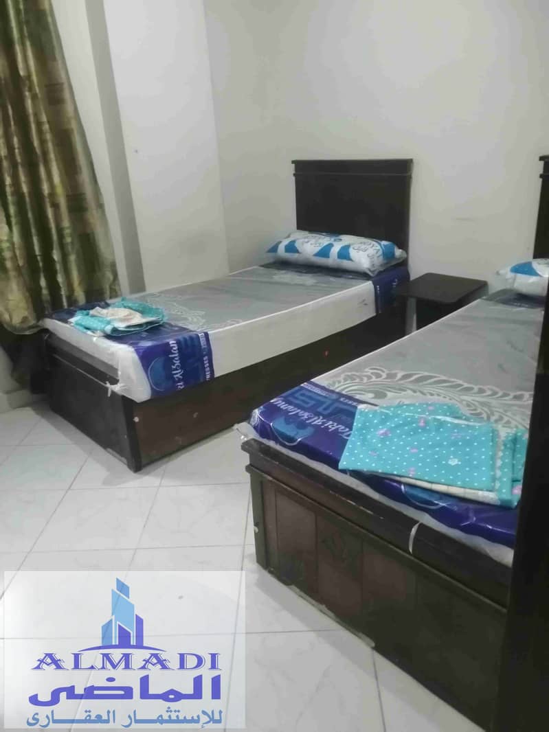 3 IMG_20251014_181417. jpg