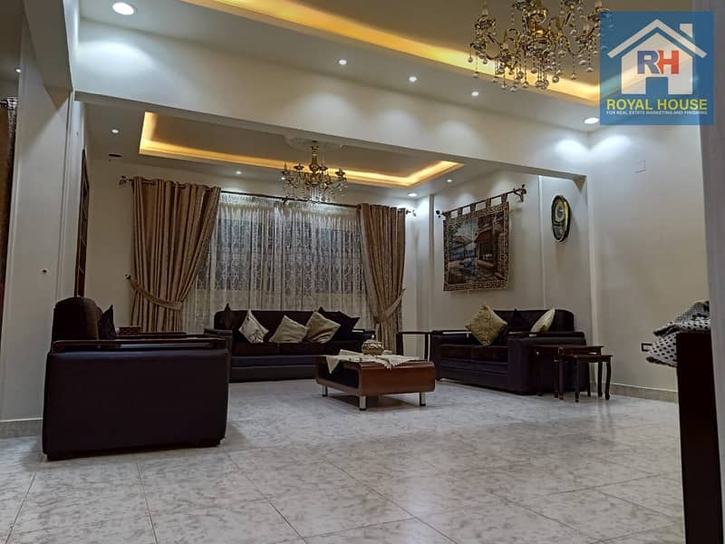 5 3b28ab48-b47b-4c7d-8ee1-2350989782a6 - Copy - Copy - Copy - Copy. jpg