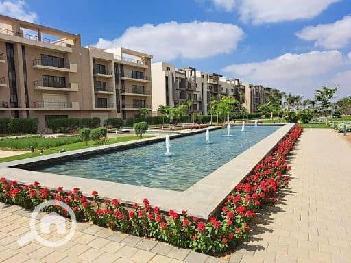 3 595280610_122110265721087546_999088568310556967_n. jpg