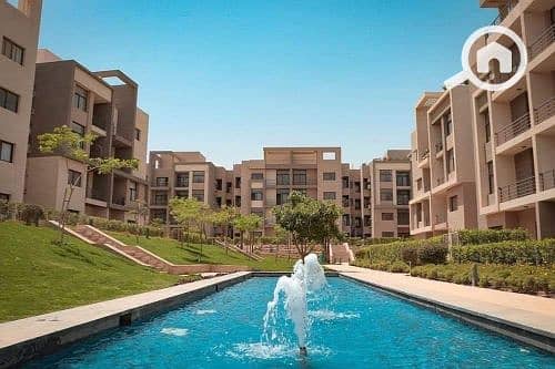 6 595989552_784327201296687_380405081704894521_n. jpg