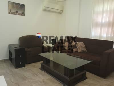 استوديو  للبيع في مدينتي، القاهرة - WhatsApp Image 2025-12-23 at 1.59. 06 PM (1). jpeg