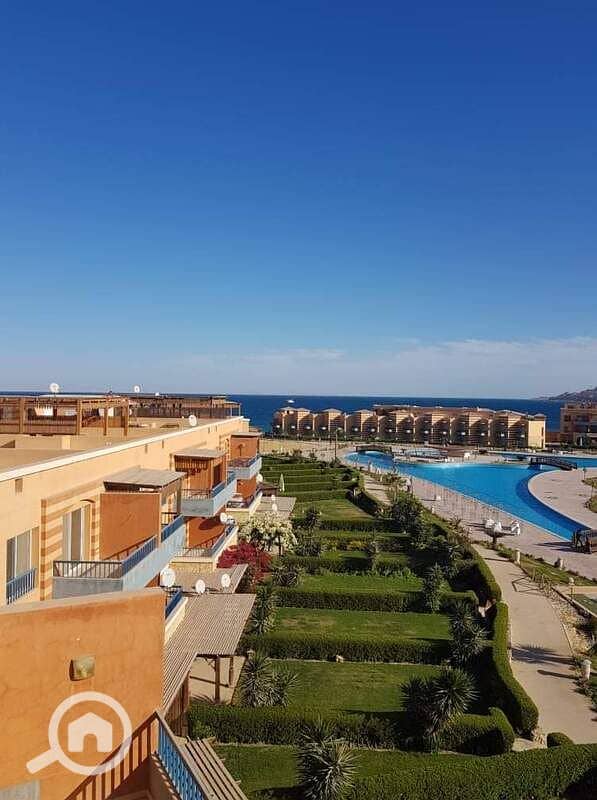 4 WhatsApp Image 2025-12-23 at 4.19. 23 PM (2). jpeg