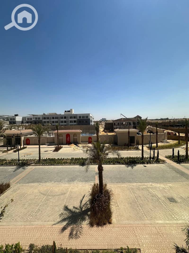 7 601531684_10161566133761652_5529022994183384661_n. jpg