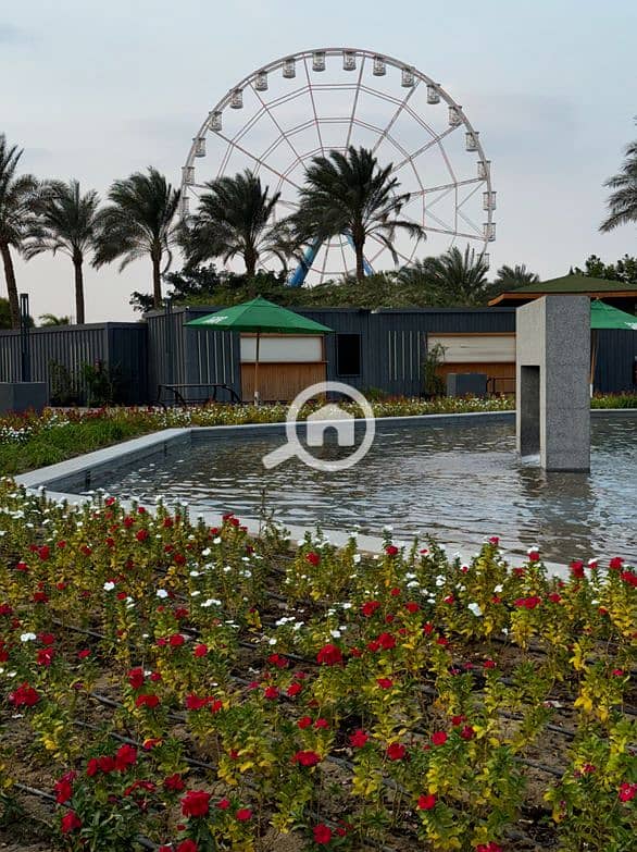 13 Screenshot_26. png