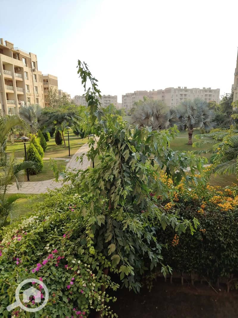 9 79ea8f5a-6495-42b9-be16-61701e3d3cb8. jpg