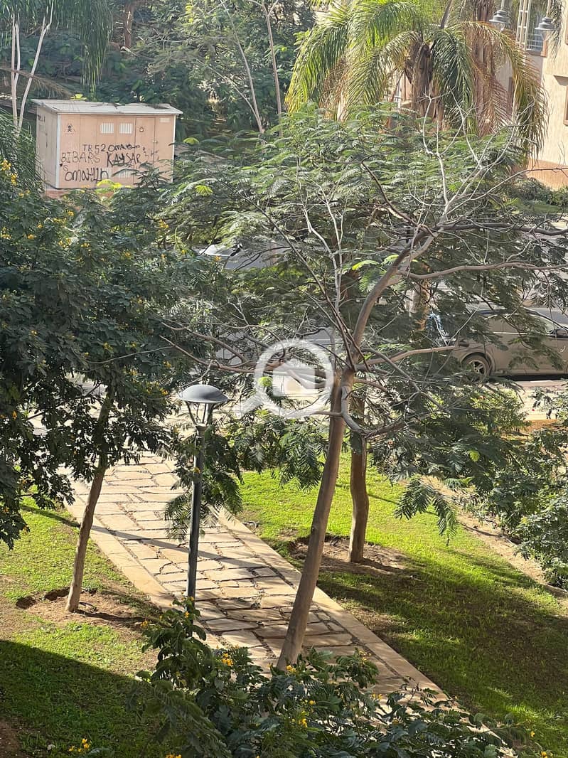 2 2cf67c83-6a74-4672-abb5-340ce082db9d. jpg