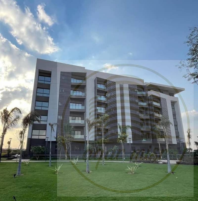 4 WhatsApp Image 2025-09-07 at 2.58. 51 PM (1). jpeg