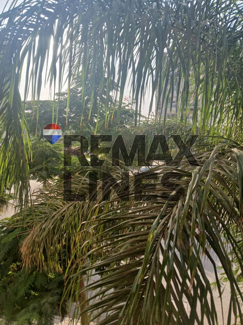 10 WhatsApp Image 2025-12-23 at 3.54. 37 PM (2). jpeg