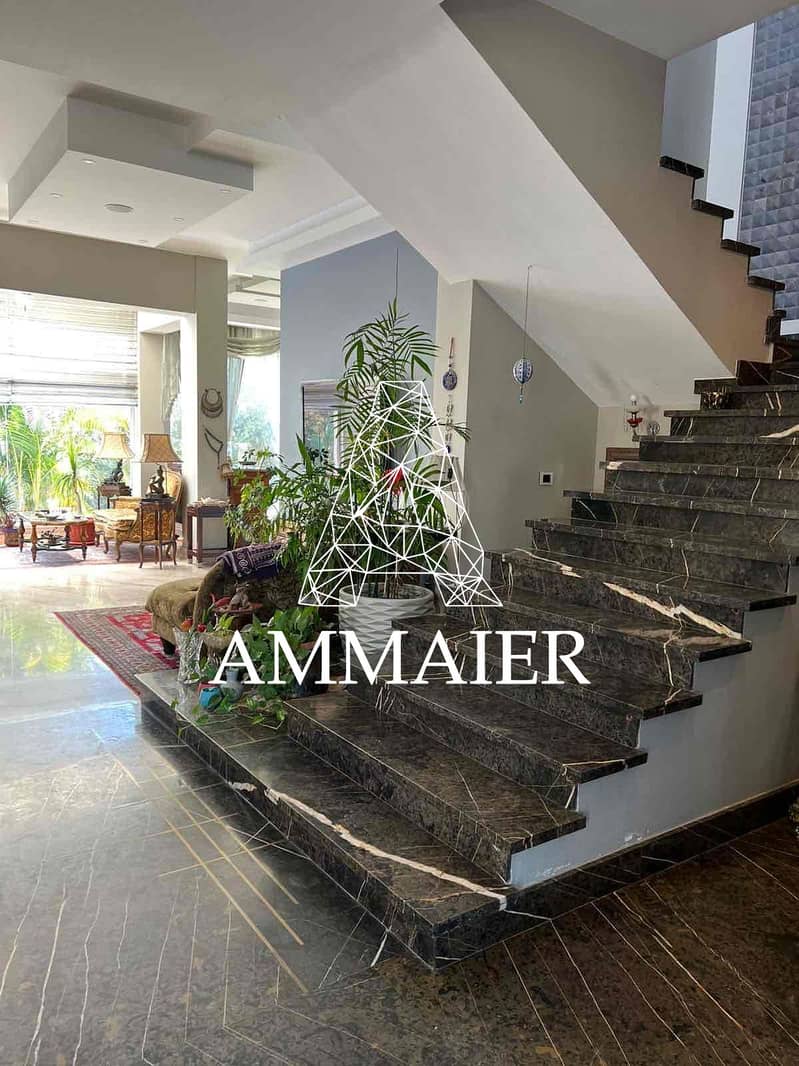 3 81bea60d-40fe-47b2-8436-528312cdc461. jpg