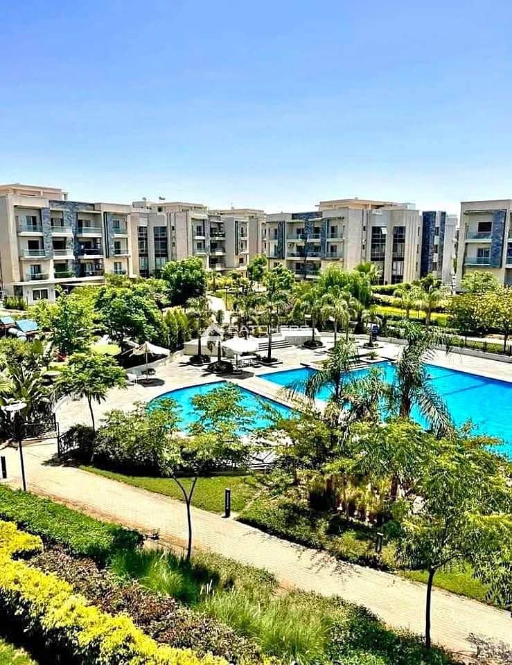 6 570021863_24671029332581463_6348049719397521170_n. jpg