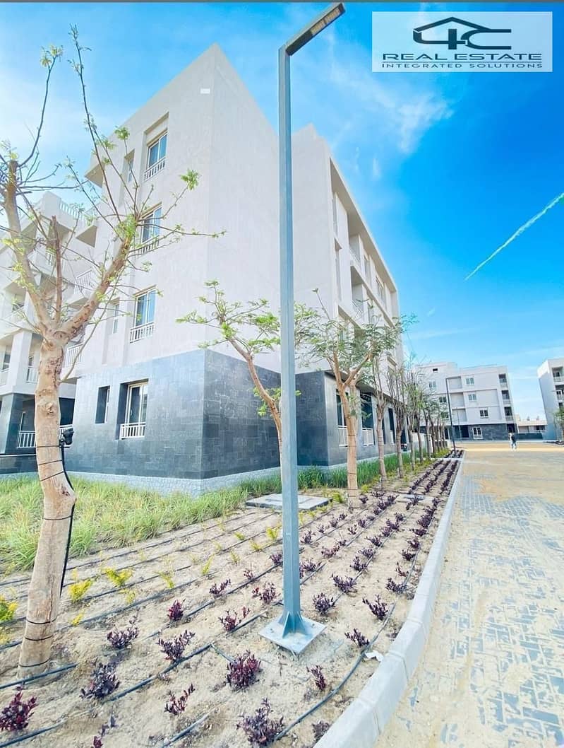 6 WhatsApp Image 2025-12-23 at 13.33. 32 (2). jpeg