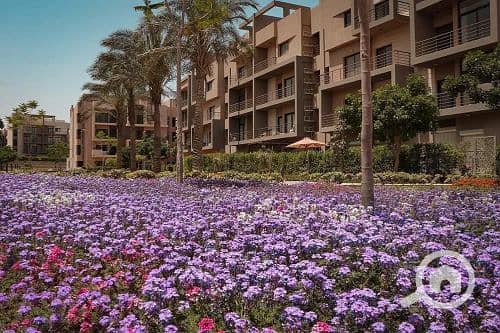 13 595164321_122110265709087546_5428714195841558674_n. jpg