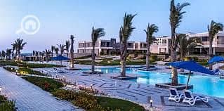 3 download (5). jpeg