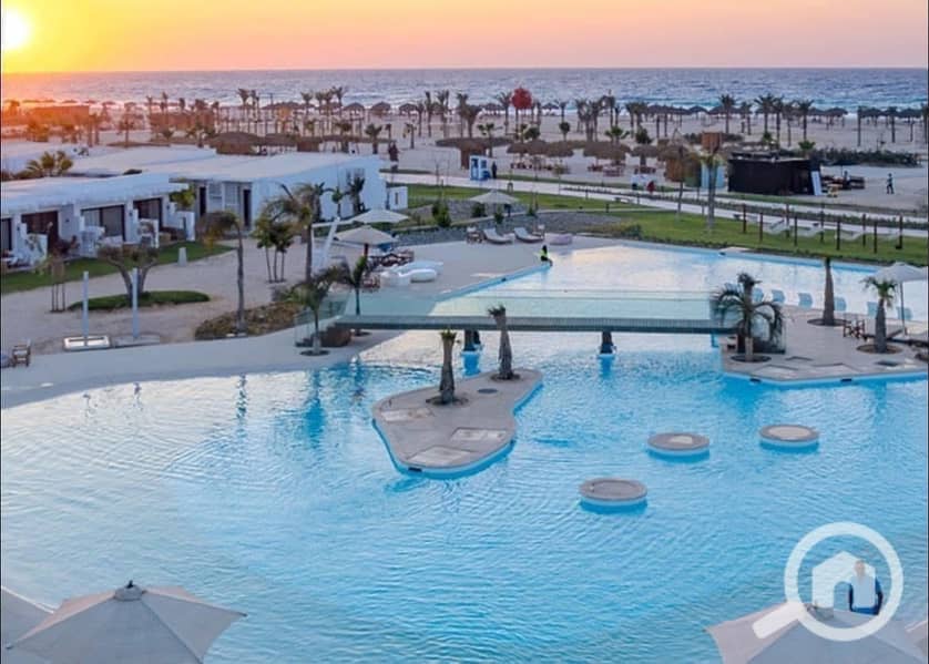 496936977_1149631417179101_6768183148389713512_n. jpg 496936977_1149631417179101_6768183148389713512_n. jpg