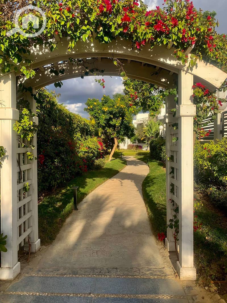 9 bd6dc5eb-f3ff-406e-8cd1-06938975b90c. jpeg