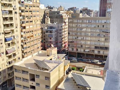 فلیٹ 2 غرفة نوم للبيع في ميامي، الإسكندرية - WhatsApp Image 2025-12-22 at 3.23. 05 PM. JPG