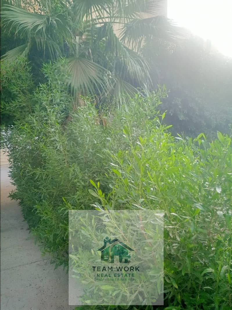 5 WhatsApp Image 2025-12-23 at 5.46. 50 PM (1). jpeg