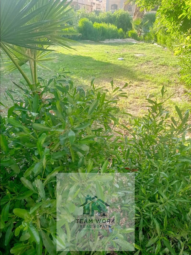 9 WhatsApp Image 2025-12-23 at 5.46. 51 PM. jpeg